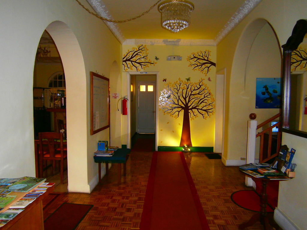The Yellow House كويتو المظهر الخارجي الصورة